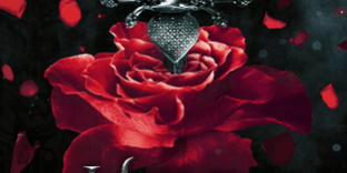 Libro Hidden Knights - Jennifer Anne Davis