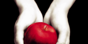 Libro Twilight - Stephenie Meyer