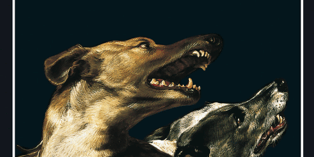 470×470 Libro Los perros de Riga - Henning Mankell