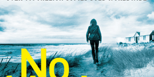 470×470 Libro No Man's Land - David Baldacci