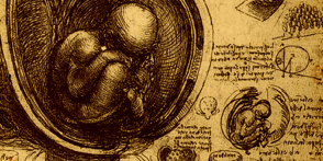 Libro El Patólogo. Parte II: Schopenhauerland - Max Kroennen