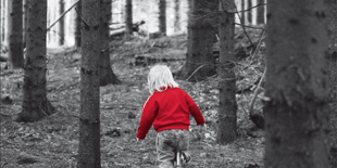 470×470 Libro La trampa de miel - Unni Lindell