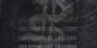 470×470 Libro Los perros de la lluvia - Jordi Sierra i Fabra