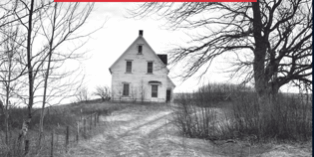 470×470 Libro El árbol de las botellas - Joe R. Lansdale