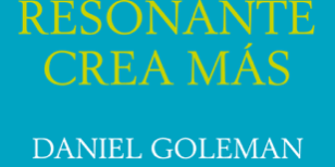 Libro El líder resonante crea más - Daniel Goleman